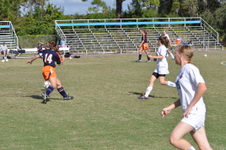 Enlarge photo 2431