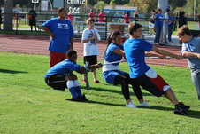 Enlarge photo 282