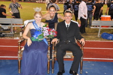 Enlarge photo 501