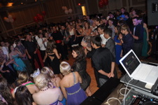 Enlarge photo 482
