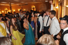 Enlarge photo 255