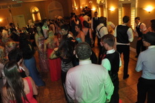 Enlarge photo 392