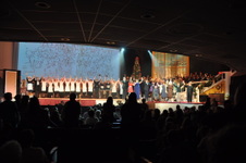 Enlarge photo 499