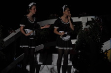 Enlarge photo 251