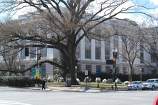 Enlarge photo 33