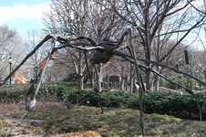 Enlarge photo 36