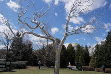 Enlarge photo 37