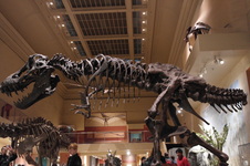 Enlarge photo 40