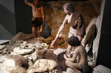 Enlarge photo 44