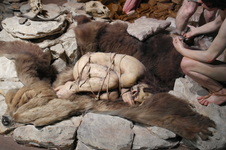 Enlarge photo 46