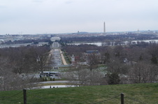 Enlarge photo 135