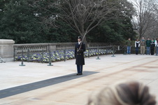 Enlarge photo 154