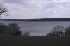 Enlarge photo 161