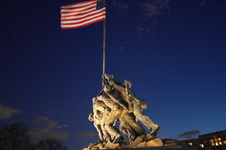 Enlarge photo 203