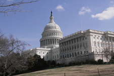 Enlarge photo 207
