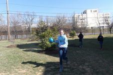 Enlarge photo 312