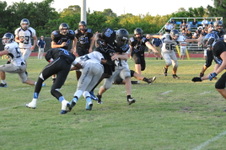 Enlarge photo 51