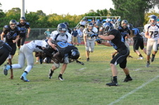Enlarge photo 52
