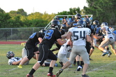Enlarge photo 59