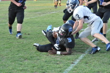 Enlarge photo 74