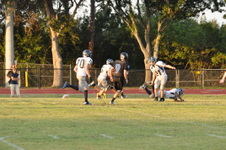 Enlarge photo 91