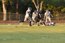 Enlarge photo 92