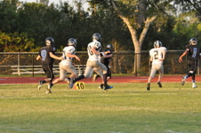 Enlarge photo 97