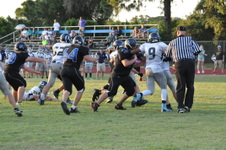 Enlarge photo 137