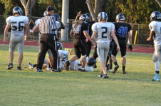 Enlarge photo 146