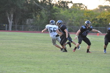Enlarge photo 173