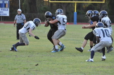 Enlarge photo 186