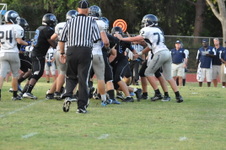 Enlarge photo 217