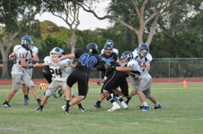 Enlarge photo 227