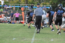 Enlarge photo 233