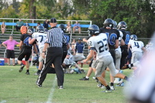 Enlarge photo 234