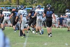 Enlarge photo 235