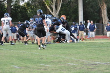 Enlarge photo 240
