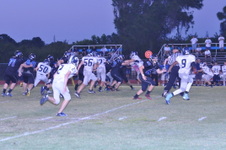 Enlarge photo 262