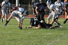 Enlarge photo 398