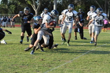 Enlarge photo 405