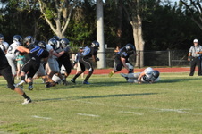 Enlarge photo 435