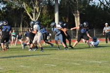Enlarge photo 439