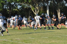Enlarge photo 441