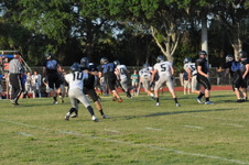 Enlarge photo 442