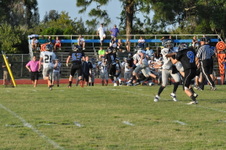 Enlarge photo 447