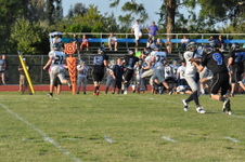 Enlarge photo 448