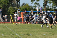 Enlarge photo 449