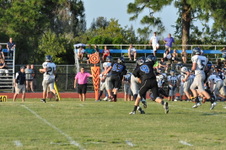Enlarge photo 450