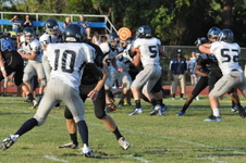 Enlarge photo 459