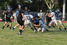Enlarge photo 464